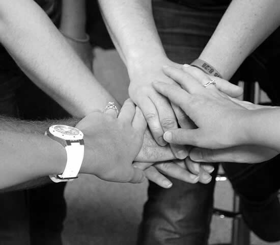 Software Development more than 10 year